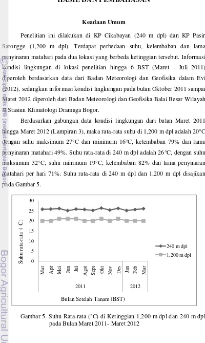 Gambar 5. Suhu Rata-rata (°C) di Ketinggian 1,200 m dpl dan 240 m dpl pada Bulan Maret 2011- Maret 2012 