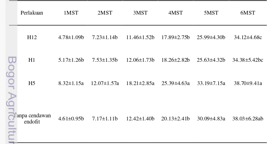 Tabel 3 Perkembangan tinggi tanaman cabai terinfeksi ChiVMV pada perlakuan 