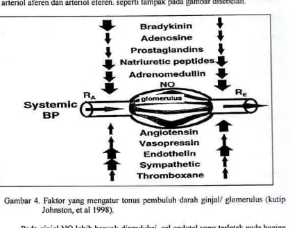 Gambar f4. Faktor yang mengatur tonus pembuluh darah ginjal/ glomerulus (kutipJohnston, etal 1998).