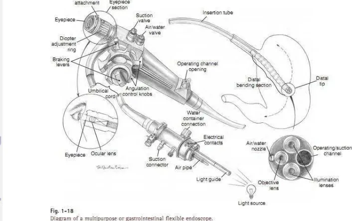 Gambar 1. Anatomi Endoskop Fleksibel (Barthel et al. 2005) 