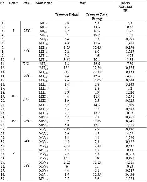 Tabel 1. Indeks Proteolitik isolat bakteri sumber air panas Sungai Medang