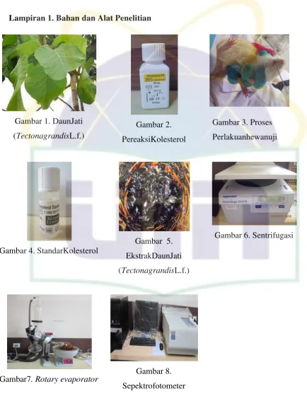 Gambar7. Rotary evaporator 