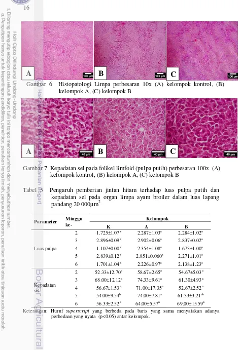 Gambar 6  Histopatologi Limpa perbesaran 10x (A) kelompok kontrol, (B) 