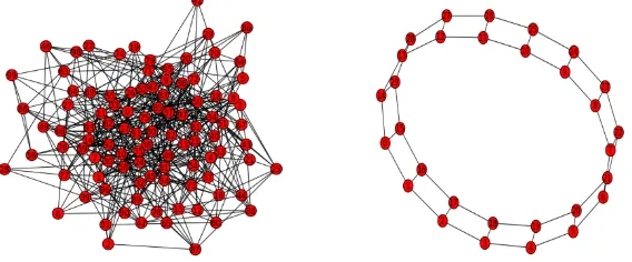 Gambar 2. Graf  Erdős-Rényi dengan 100 simpul dan graf tangga dengan 30 simpul 