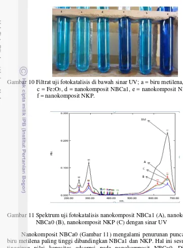 Gambar 10 Filtrat uji fotokatalisis di bawah sinar UV; a = biru metilena, b = TiO2, 