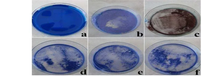Gambar 12  Endapan hasil uji fotokatalisis dibawah sinar UV; a = biru metilena,  