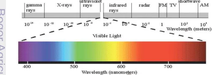 Gambar 19 Spekrum elekromagnetik untuk sinar fotokatalisis (Afrozi 2010) 
