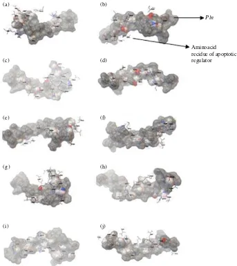 Fig. 3(a-j): Binding orientation of plnE with (a) CDKs, (c) IAPs, (e) NAIP, (g) BcLs, (i) DcR andplnF with (b) CDKs, (d) IAPs, (f) NAIP, (h) BcLs and (j) DcR