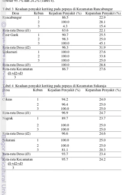 Tabel 3  Keadaan penyakit keriting pada pepaya di Kecamatan Rancabungur 