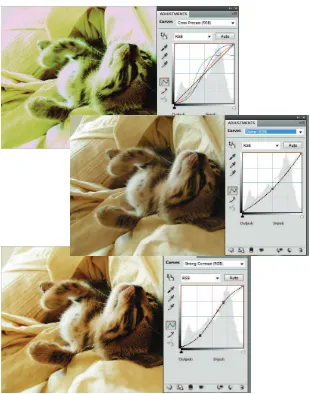 Gambar 2-5: Curve Preset dengan pilihan “Cross Process”, “Darker” dan “Strong Contrast”