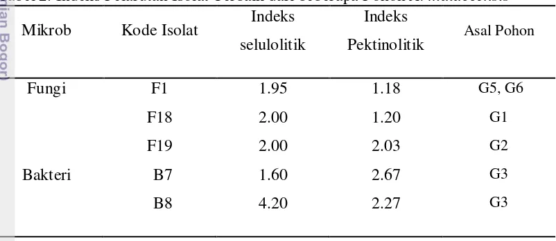 Tabel 2. Indeks Pelarutan Isolat Terbaik dari beberapa Pohon A. malaccensis 