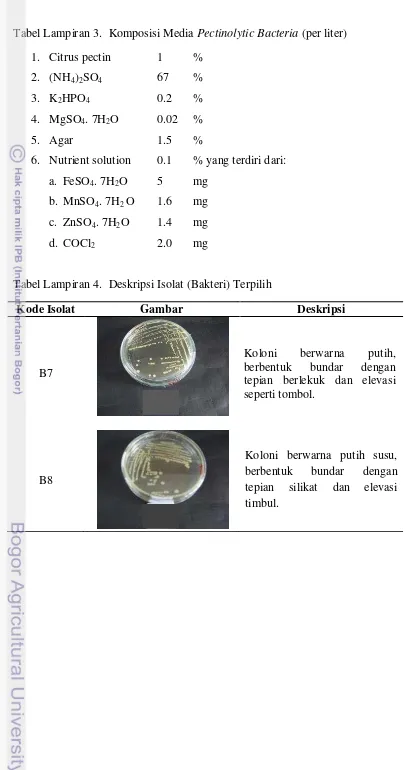 Tabel Lampiran 3.  Komposisi Media Pectinolytic Bacteria (per liter) 