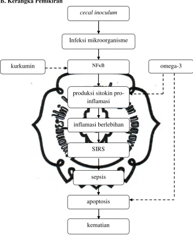 Gambar 2.3. Kerangka pemikiran 