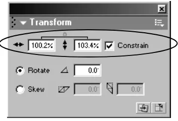 Gambar 2.12 Panel Transform 