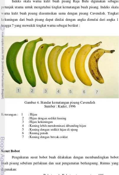 Gambar 4. Standar kematangan pisang Cavendish 