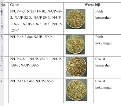 Tabel 7. Keragaan karakter warna biji galur - galur sorgum di tanah           
