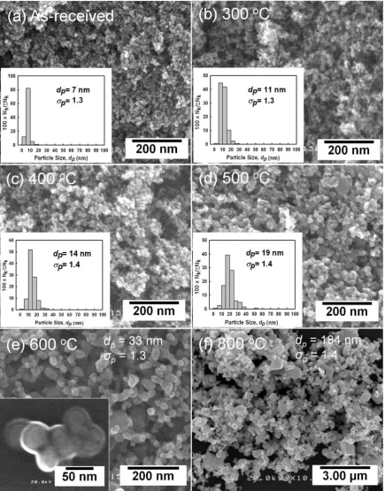 Fig. 6. Size-controlled tungsten oxide nanoparticles derived from nanoparticles synthesized using a plasma method by variation of annealing temperature: (a) as-received, (b)300 8C, (c) 400 8C, (d) 500 8C, (e) 600 8C or (f) 800 8C after 30 min of annealing.