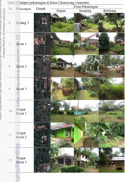 Tabel 3 Sampel pekarangan di Desa Cikarawang (lanjutan) 