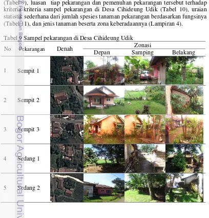 Tabel 9 Sampel pekarangan di Desa Cihideung Udik 