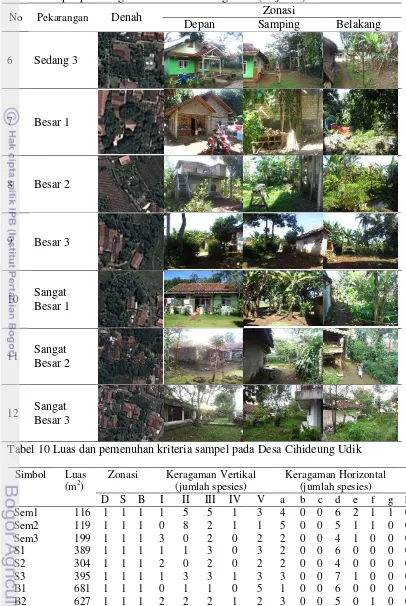 Tabel 9 Sampel pekarangan di Desa Cihideung Udik (lanjutan) 