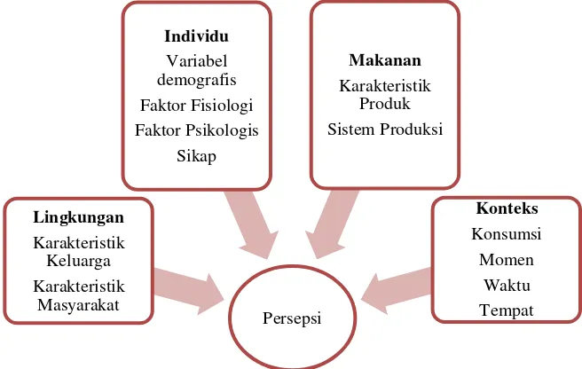 Gambar 2.7 Model Persepsi Makanan – Sijitsema et al. 