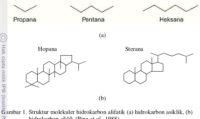 Gambar 1. Struktur molekuler hidrokarbon alifatik (a) hidrokarbon asiklik, (b) 