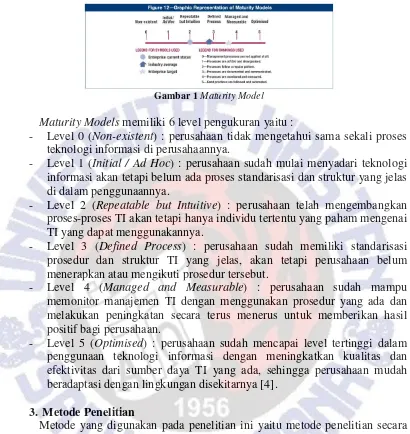 Gambar 1 Maturity Model 