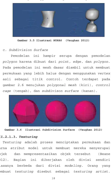 Gambar 3.5 Ilustrasi NURBS  (Vaughan 2012) 