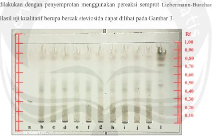 Gambar 3. Pengujian Kualitatif Ekstrak Kalus Daun Stevia (Dokumentasi Pribadi, 2014) j 