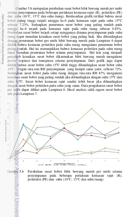 Gambar 5.b merupakan perubahan susut bobot bibit bawang merah per umbi 