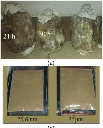Gambar 2 Selulosa kulit rotan inokulasi jamur (a) dan nanopartikel (b). 
