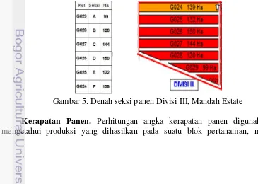 Tabel 3. Tingkat kematangan dan kriteria panen di Mandah Estate 