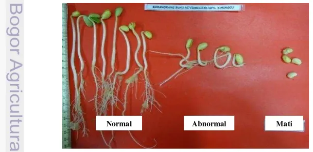 Gambar 3   Struktur kecambah normal, abnormal dan mati pada benih kedelai 