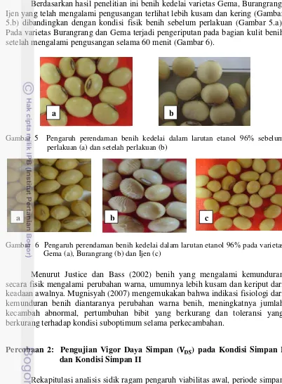 Gambar 5  Pengaruh perendaman benih kedelai dalam larutan etanol 96% sebelum 