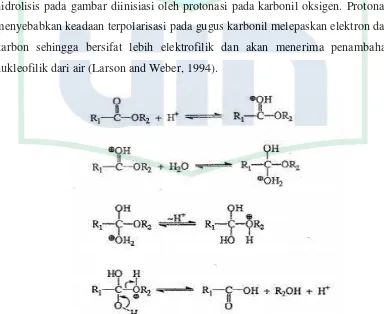Gambar 2.2 Mekanisme Reaksi Hidrolisis pada Ester  (Larson and Weber, 1994). 
