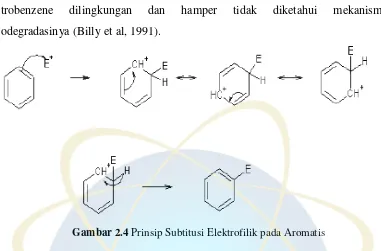 Gambar 2.4 Prinsip Subtitusi Elektrofilik pada Aromatis 