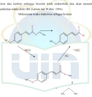 Gambar 4.2 Reaksi Hidrolisis 