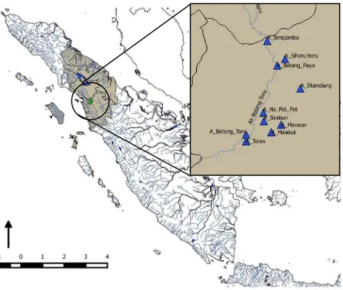 Figure 1. Sampling location in Batang Toru River System, North Sumatra  