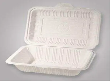 Gambar 1.1 Styrofoam pembungkus makanan 