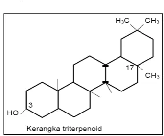 Gambar 2.15 Kerangka Steroid      