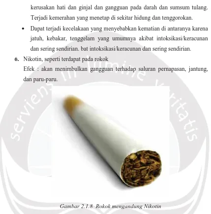 Gambar 2.1.8 Rokok mengandung Nikotin 