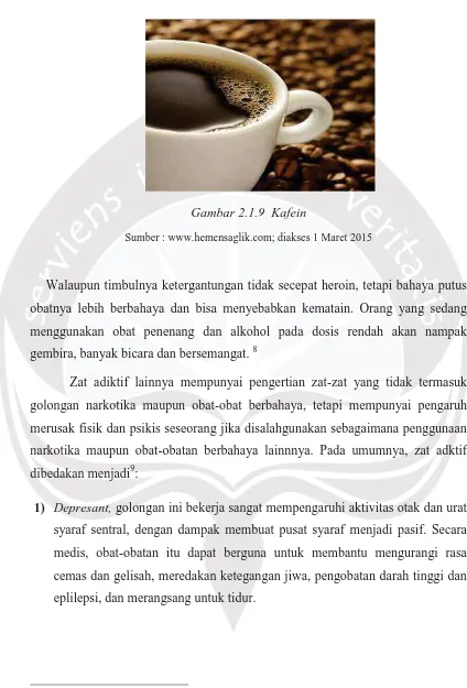 Gambar 2.1.9  Kafein 