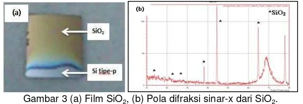 Gambar 3 (a) Film SiO2, (b) Pola difraksi sinar-x dari SiO2. 