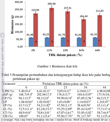 Gambar 1 Biomassa ikan lele  