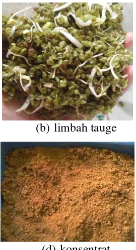 Gambar 1  Kondisi bahan pakan sebelum dihomogenisasi (a) rumput lapang, (b) 