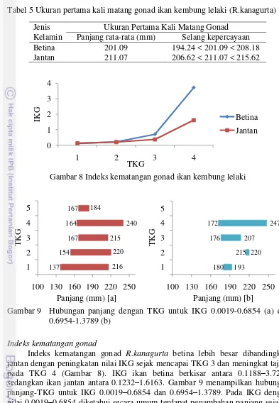 Tabel 5 Ukuran pertama kali matang gonad ikan kembung lelaki (R.kanagurta) 