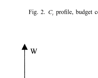 Fig. 3. W proﬁle, budget constraint binding.t