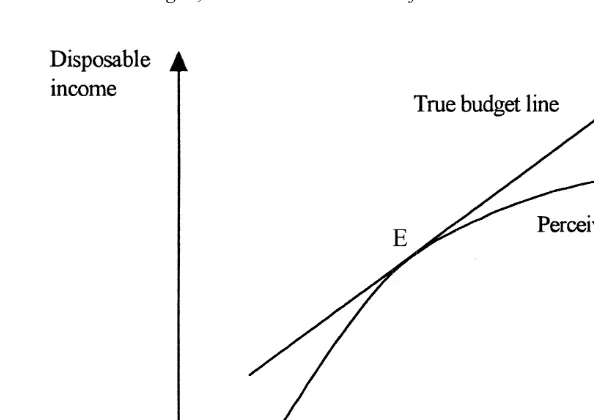 Fig. 2. True and perceived budget constraints when asset income is measured without error.