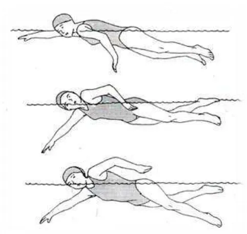 Gambar 9. Bentuk Latihan Teknik Gerakan Mengambil Napas Renang 