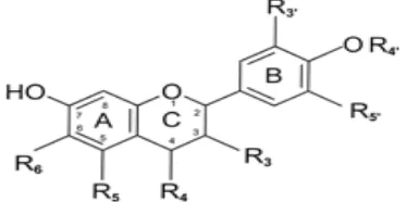 Gambar 1. Rumus struktur flavonoid 
